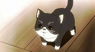 Image result for Anime Cat Mad