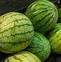 Image result for Yellow Doll Watermelon