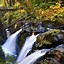 Image result for Washington National Parks Road Trip