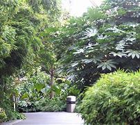 Image result for Canary Wharf Roof Garden