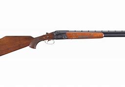 Image result for MTS 4 Shotgun