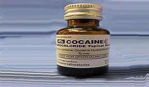 Image result for Cocaine Natural Form