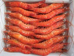 Image result for Hoso Dried Shrimp