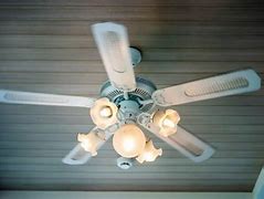 Image result for Fan Light Bulbs