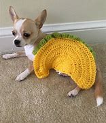 Image result for Taco Cat Costume