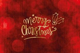 Image result for Red Roses Merry Christmas