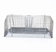 Image result for Water Traps for Mice