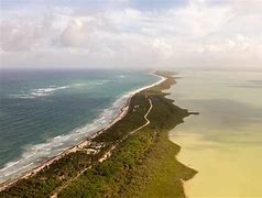 Image result for Quintana Roo Jungle