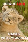 Image result for male lion cub names