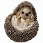 Image result for Hedgehog Gifts