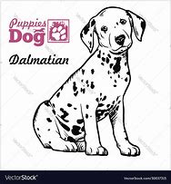 Image result for Dalmatian Sketch