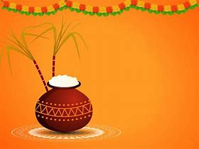 Image result for Pongal Background