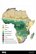 Image result for United States Vegetation Map