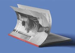 Image result for A4 Size Magazine Mockup