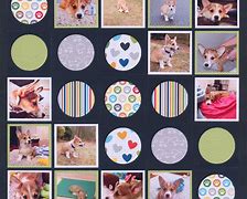 Image result for Scrapbook Layout Ideas