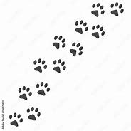 Image result for Big Cat Prints