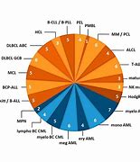 Image result for Lymphoma Panel