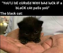 Image result for Black Curse