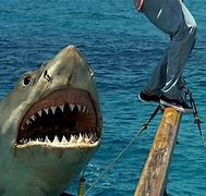 Image result for Jaws Movie Beach Scene