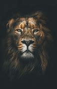 Image result for Backround Singam Lions