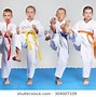 Image result for Front Kick by Mea Geri