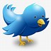 Image result for Twitter Logo Without Background