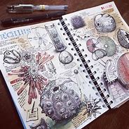 Image result for Sketchbook Drawings