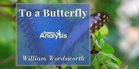 Image result for Butterfly Carrying Another Butterfly