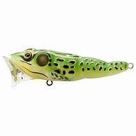 Image result for Popper Lure