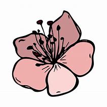 Image result for Cherry Blossom Single Flower Clip Art