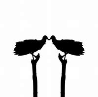 Image result for Vulture Silhouette