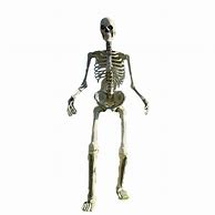 Image result for Giant Skeleton SCP