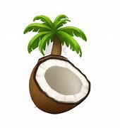 Image result for Coconut