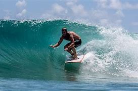 Image result for Aloha Surf