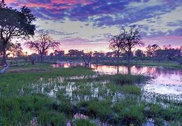 Image result for Okavango Delta Botswana Windows Background