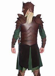 Image result for Heavy Armor Elf Warrior