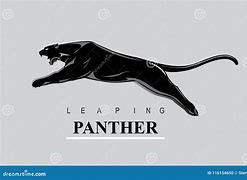 Image result for Leaping Panther