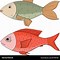 Image result for Fish Face Drawing