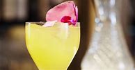 Image result for Hibiscus Cocktail