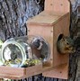 Image result for Barred Owl Nest Box