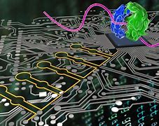 Image result for Cells in Computer Science