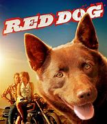 Image result for Red Dog Dialogue