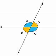 Image result for Opposite Angles