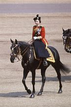 Image result for Queen Elizabeth Side Saddle