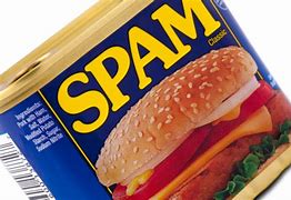 Image result for Spam Pics