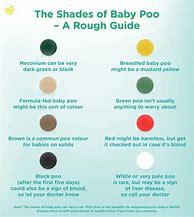 Image result for Know Your Poop Chart