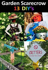 Image result for Garden Scarecrow Ideas