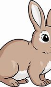 Image result for Rabbit Laying Drawing