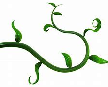 Image result for Animated Jungle Vines