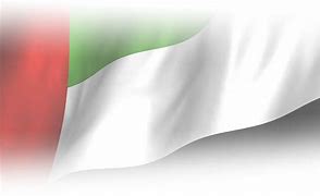 Image result for NASA and UAE Flag Image